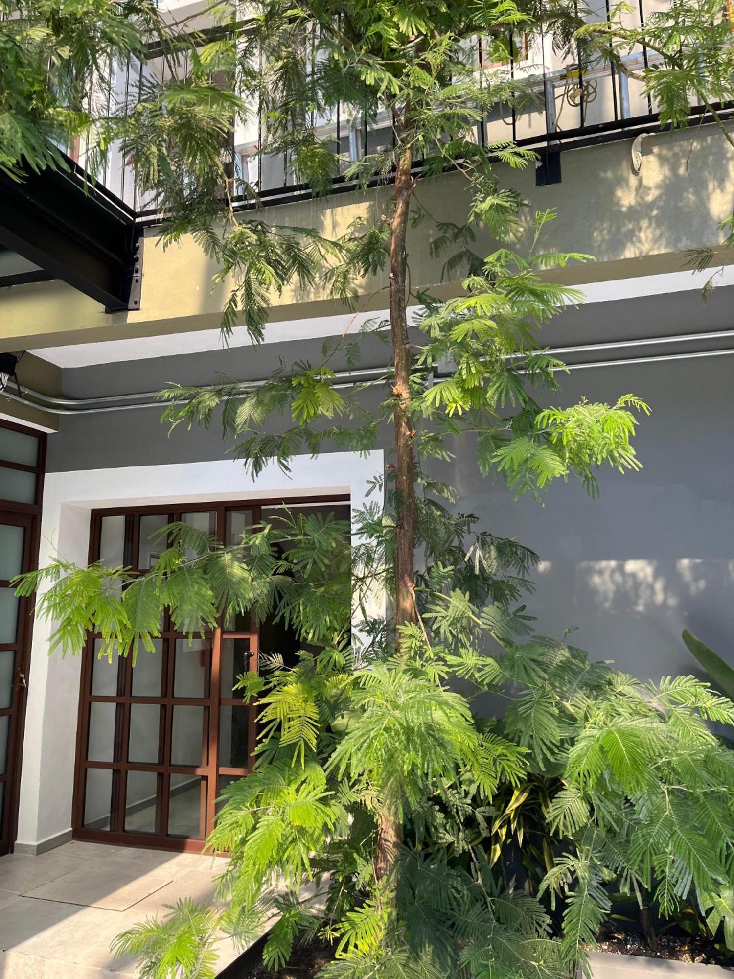 Hotel Eonia Atlixco Esterno foto